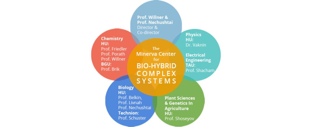 Logo of the Minerva Center for Bio-Hybrid Complex Systems