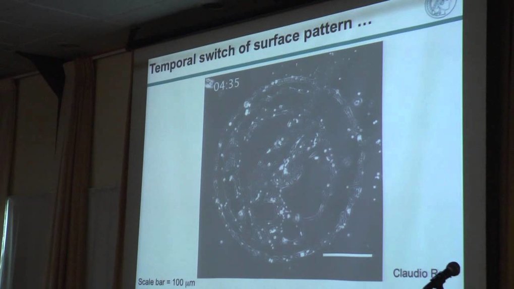 Video of the Minerva Center for Bio-Hybrid Complex Systems